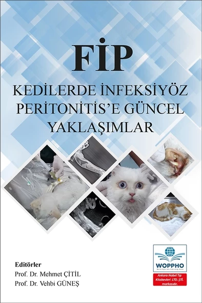 FİP Kedilerde İnfeksiyöz Peritonitis’e Güncel Yaklaşımlar - Resim 2
