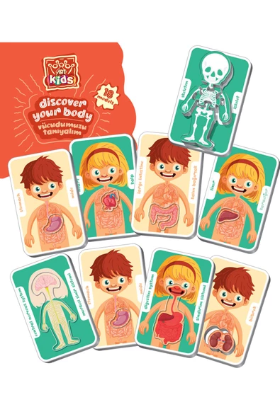 Art Kids Vücudumuzu Tanıyalım Doktor Setli Puzzle 5865 - 4