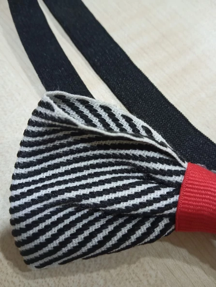 ORTA-BÜYÜK IRK KÖPEK PAPYONU - 2