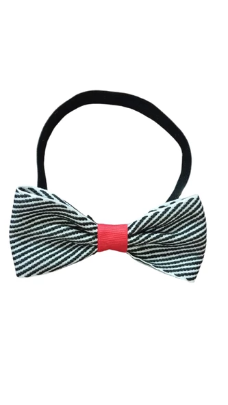 ORTA-BÜYÜK IRK KÖPEK PAPYONU