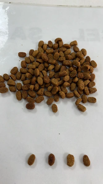 HOW MEOW YAVRU KEDİ KURU MAMASI TAVUKLU 15 KG - 2