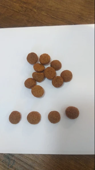 HOW MEOW YETİŞKİN KÖPEK KURU MAMASI KUZULU ve PİRİNÇLİ  15 KG - 2