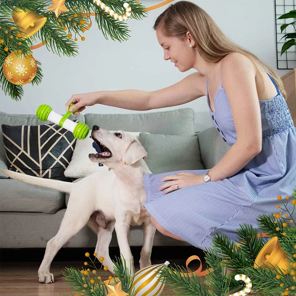 9005 Plastik Oyun Kemiği - 4