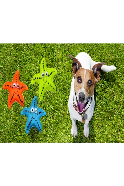 Ayver KEDİ KÖPEK OYUNCAĞI SESLİ DENİZ YILDIZI YUMUŞAK ESNEK OYUNCAK