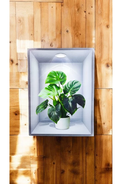 Ayver 3D YAPIŞKANLI DUVAR KAĞIDI STİCKER 30X40 CM BEYAZ SAKSI MODEL