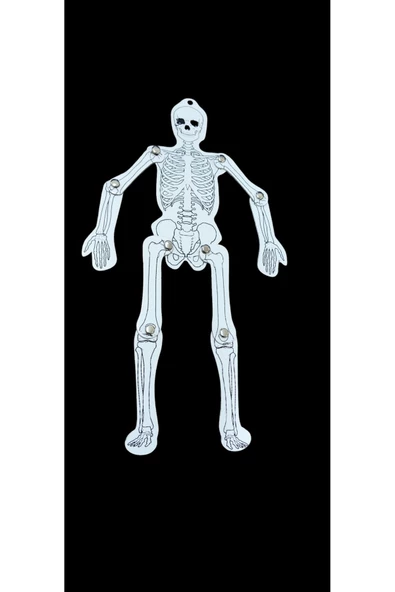 Ayver İSKELET KALIN KARTON ÜZERİ RESİM OYNAR PUNTALI 28 CM - 2