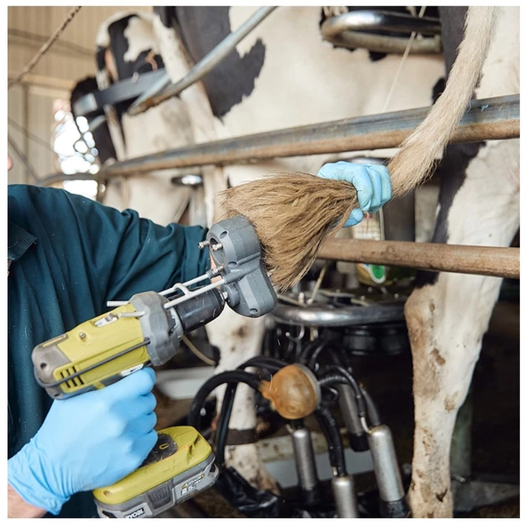 TailWell Titanyum Hayvan Kuyruk Temizleme ve Düzenleme Makinesi - Resim 8