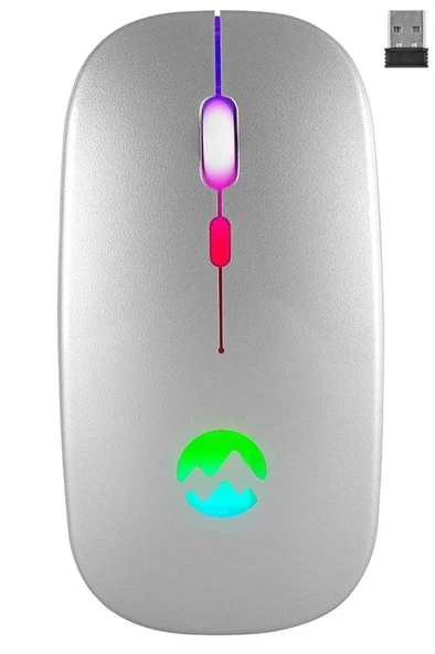 Everest Ledli Şarjlı Kablosuz Mouse Gümüş Smw-710 - 2