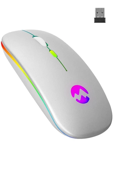 Everest Ledli Şarjlı Kablosuz Mouse Gümüş Smw-710