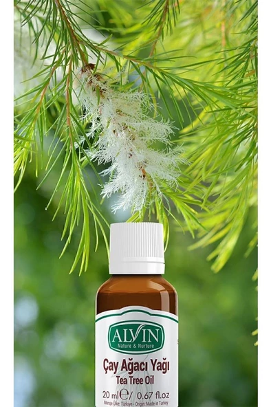 Çay Ağacı Yağı (Tea Tree Oil), 20 ml - 4
