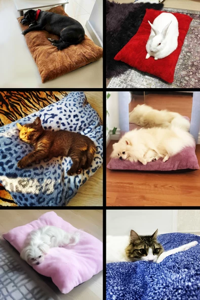 Peluş Kedi Köpek Yatağı Yer Minderi - Karışık Renk - 3