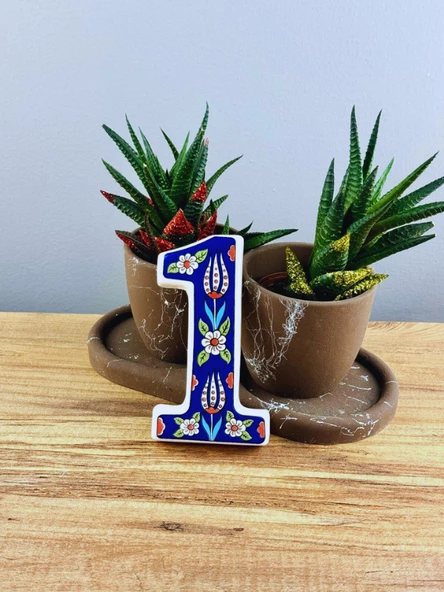 DeepCraft Büyük Boy Lale Desenli Seramik Kapı Numarası, Kişiselleştirilmiş Dekoratif Kapı Numara No.1 ürün görseli