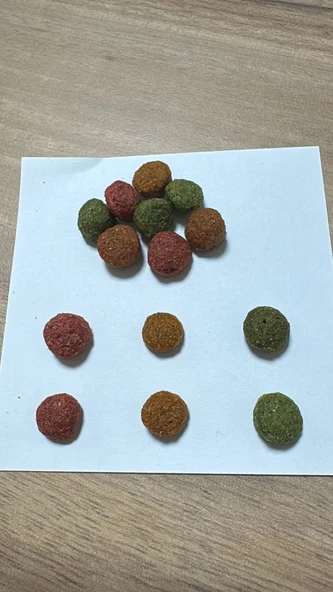 PETEKO YETİŞKİN KEDİ KURU MAMASI GURME 15 KG - 2