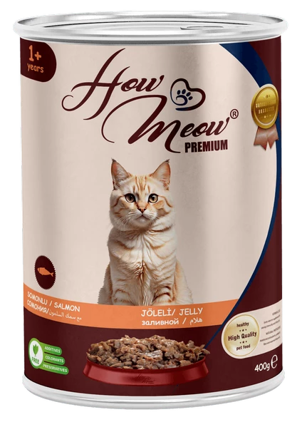 HOW MEOW 12 ADET JÖLELİ PARÇA ETLİ YETİŞKİN KEDİ YAŞ MAMASI SOMONLU 400 GRAM