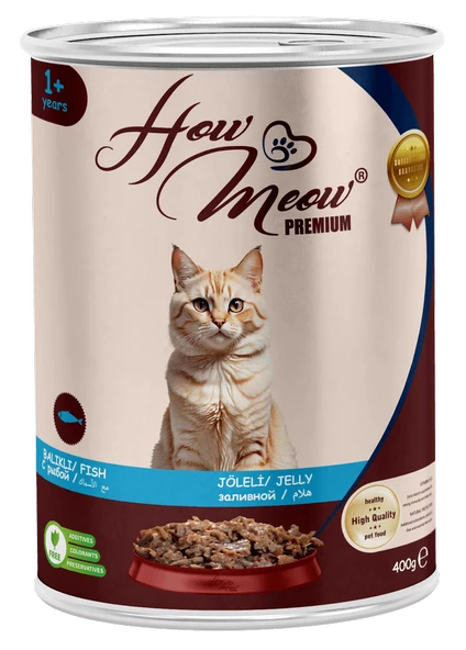 HOW MEOW 12 ADET PATE YETİŞKİN KEDİ YAŞ MAMASI BALIKLI 400 GRAM