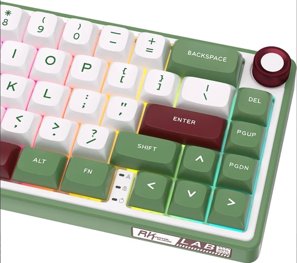Royal Kludge R65 65% Kablolu US Gaming Klavye - 6