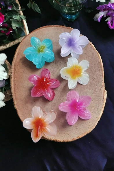 6'lı Rengarenk Lotus Çiçeği Mandal Toka 8 Cm - 10