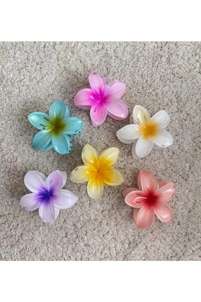 6'lı Rengarenk Lotus Çiçeği Mandal Toka 8 Cm - 5