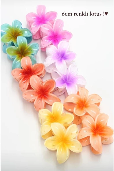 6'lı Rengarenk Lotus Çiçeği Mandal Toka 8 Cm - 3