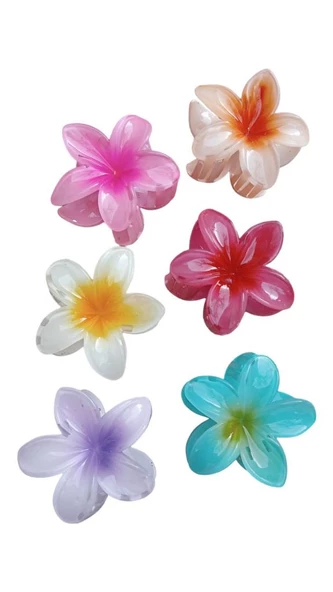 6'lı Rengarenk Lotus Çiçeği Mandal Toka 8 Cm - 9