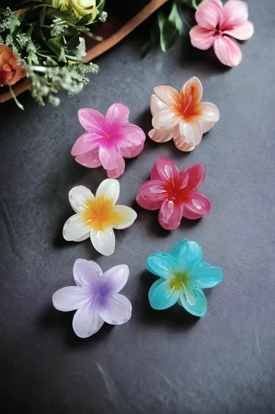 6'lı Rengarenk Lotus Çiçeği Mandal Toka 8 Cm - 6