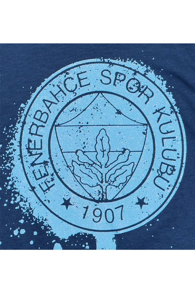 Fenerbahçe Orijinal Lisanslı Yaldızlı Fb Logo Gri Çocuk Sweat - 9