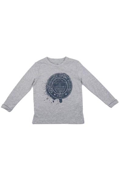 Fenerbahçe Orijinal Lisanslı Yaldızlı Fb Logo Gri Çocuk Sweat - 2