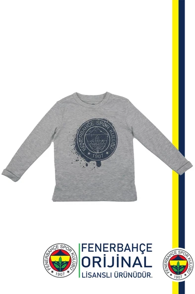 Fenerbahçe Orijinal Lisanslı Yaldızlı Fb Logo Gri Çocuk Sweat Hediyelik Ahşap Kutulu - 2