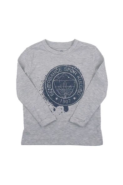 Fenerbahçe Orijinal Lisanslı Yaldızlı Fb Logo Gri Çocuk Sweat - 3