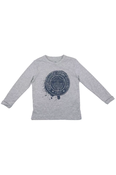 Fenerbahçe Orijinal Lisanslı Yaldızlı Fb Logo Gri Çocuk Sweat Hediyelik Ahşap Kutulu - 3