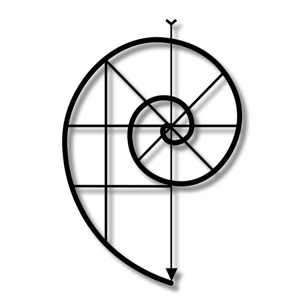 Metal Duvar Dekorasyonu Altın Oran 2 (Golden Ratio) Metal Duvar Tablosu Sanat - 6