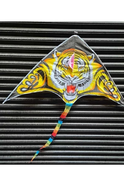 HEPSİLAZIM Büyük Boy Kaplan Uçurtma Tiger Kite 160 cmx75 cm Aslan Uçurma-Kuyruk 120 cm 30 mt ip Dahil - 4