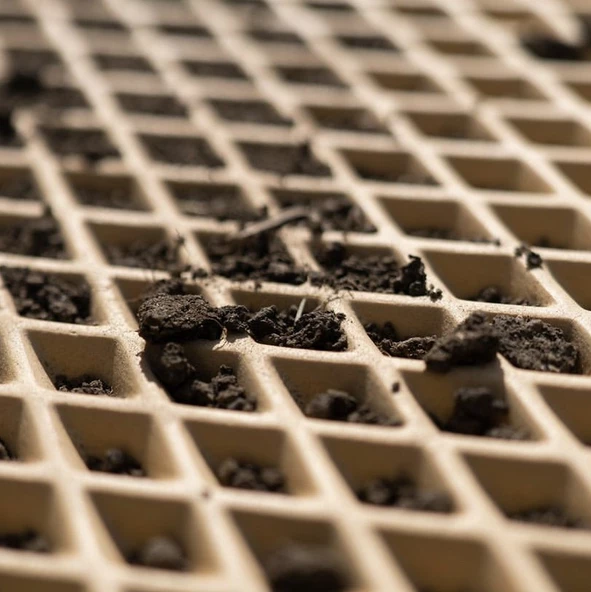 Universal EVA Oto Paspas - 4