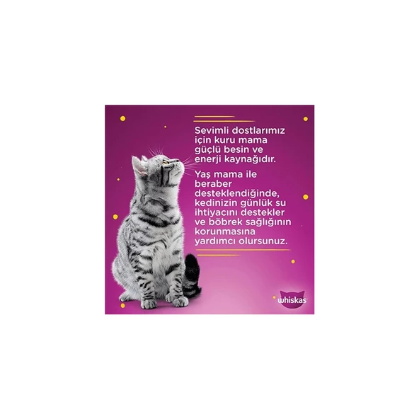 Pouch Kuzulu Yetişkin Kedi Konservesi 85 gr x 28 Adet - 3