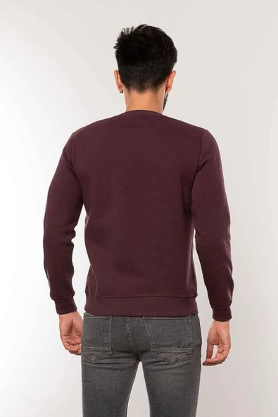 CAZADOR ERKEK 5128 3 İPLİK SWEAT 23KCEEO05128 - 4