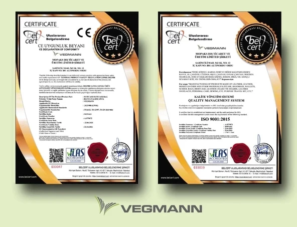 Vegmann Polipropilen (PP) Atlas Gri 3lü Valiz Seti - 6