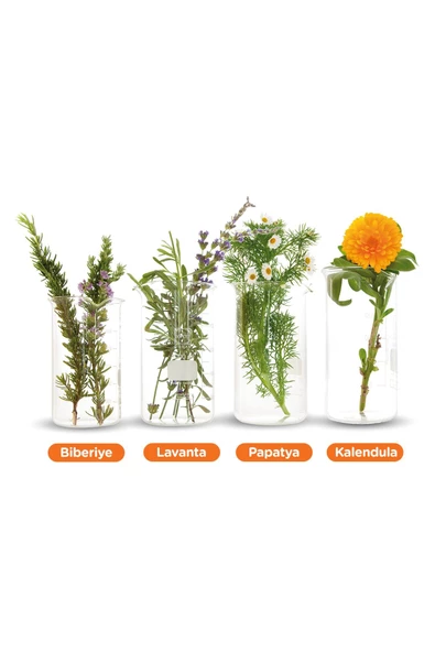 Bio-Oil Natural Cilt Bakım Yağı 125 ml - Resim 4