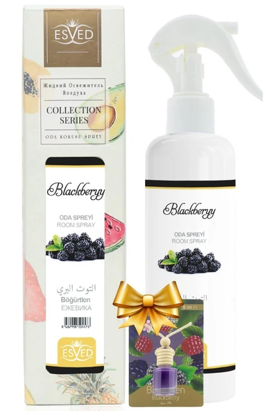 Böğürtlen Kokusu Sprey 400Ml. Böğürtlen Kokusu Araba Kokusu 8Ml. Hediyeli ürün görseli