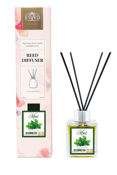 Nane Kokusu 100 Ml Çubuklu Oda Kokusu Yedek Dolum Şişesi Hediyeli - 3