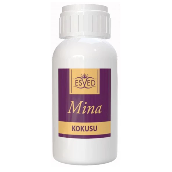 Mina Kokusu 100 Ml Çubuklu Oda Kokusu Yedek Dolum Şişesi Hediyeli - Resim 2