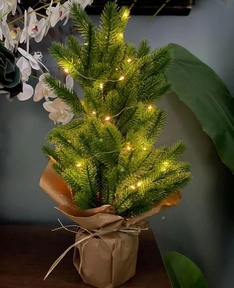 Yılbaşı Ağacı Led Işıklı Yapay Çam Ağacı Kraft Saksıda 55cm - 3