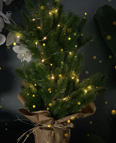 Yılbaşı Ağacı Led Işıklı Yapay Çam Ağacı Kraft Saksıda 55cm - 4