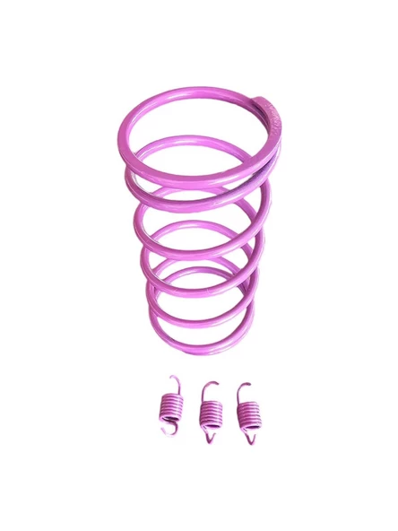 Speed Up Mondial Hs 150CC Motosiklet Arka Varyatör Performans Yayı + Balata Yayı - Resim 3