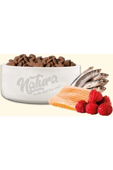 Düşük Tahıllı Somonlu Hamsili Böğürtlenli Kısırlaştırılmış Kedi Kuru Maması 8 2 Kg - 2