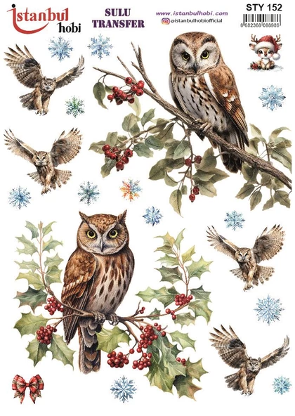 Yılbaşı Sulu Transfer 25x35cm STY152 ürün görseli 1