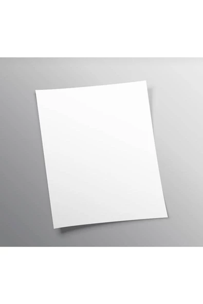 Çözüm Kağıt Amerikan Bristol 210 Gr, 35 X 50 Ebadında 10 Adet - Resim 2