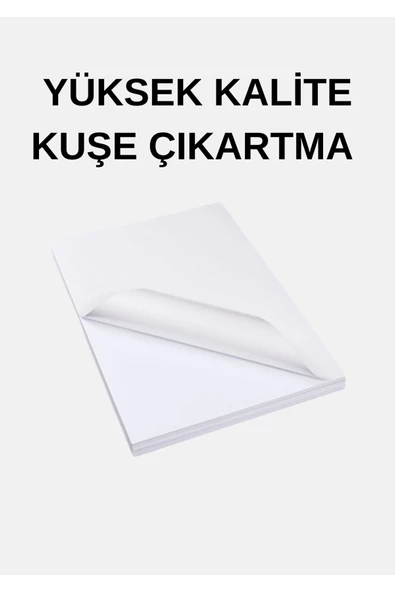 Çözüm Kağıt 10 Adet Yapışkanlı Hotmelt Etiket Parlak Kuşe A4 Ebat (EKSTRA YAPIŞKANLI) ürün görseli