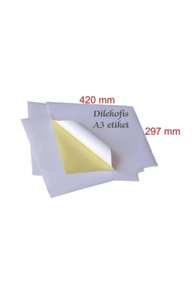 Çözüm Kağıt A3 Kuşe Etiket 100 Ad,/pk, ürün görseli