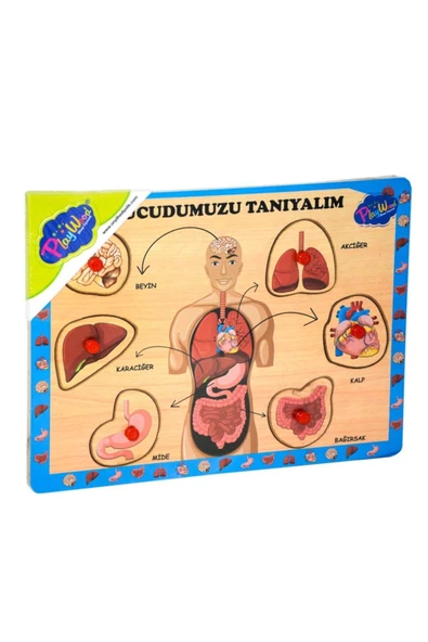 OYUNCAK STORE Ahşap Tutmalı Vücudumuzu Tanıyalım Puzzle