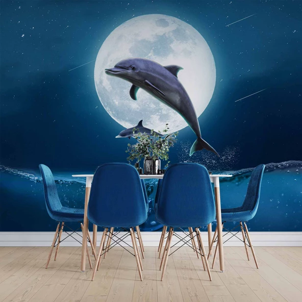 Ay ve Yunus Manzaralı Duvar Kağıdı - Resim 5